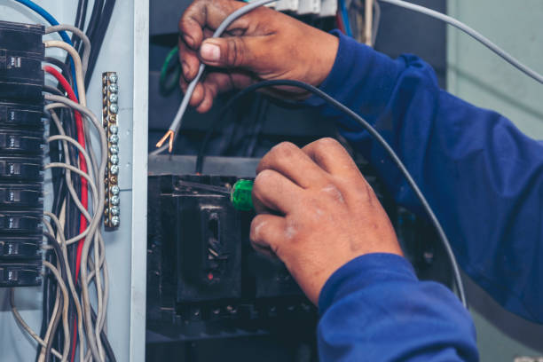 Best Electric Panel Repair  in Shady Spring, WV